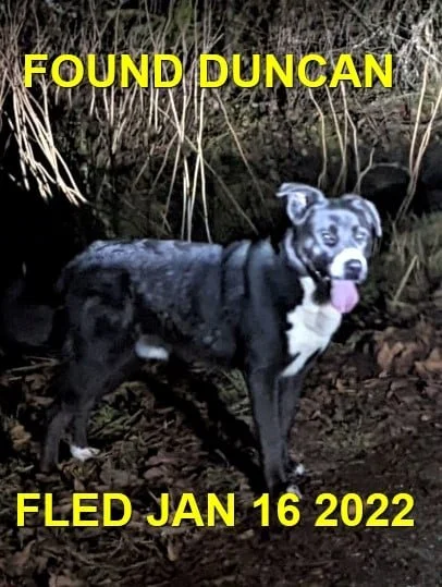 HAPPY ENDINGS - DUNCAN BC. / ZEUS / JAN. 16, 2022