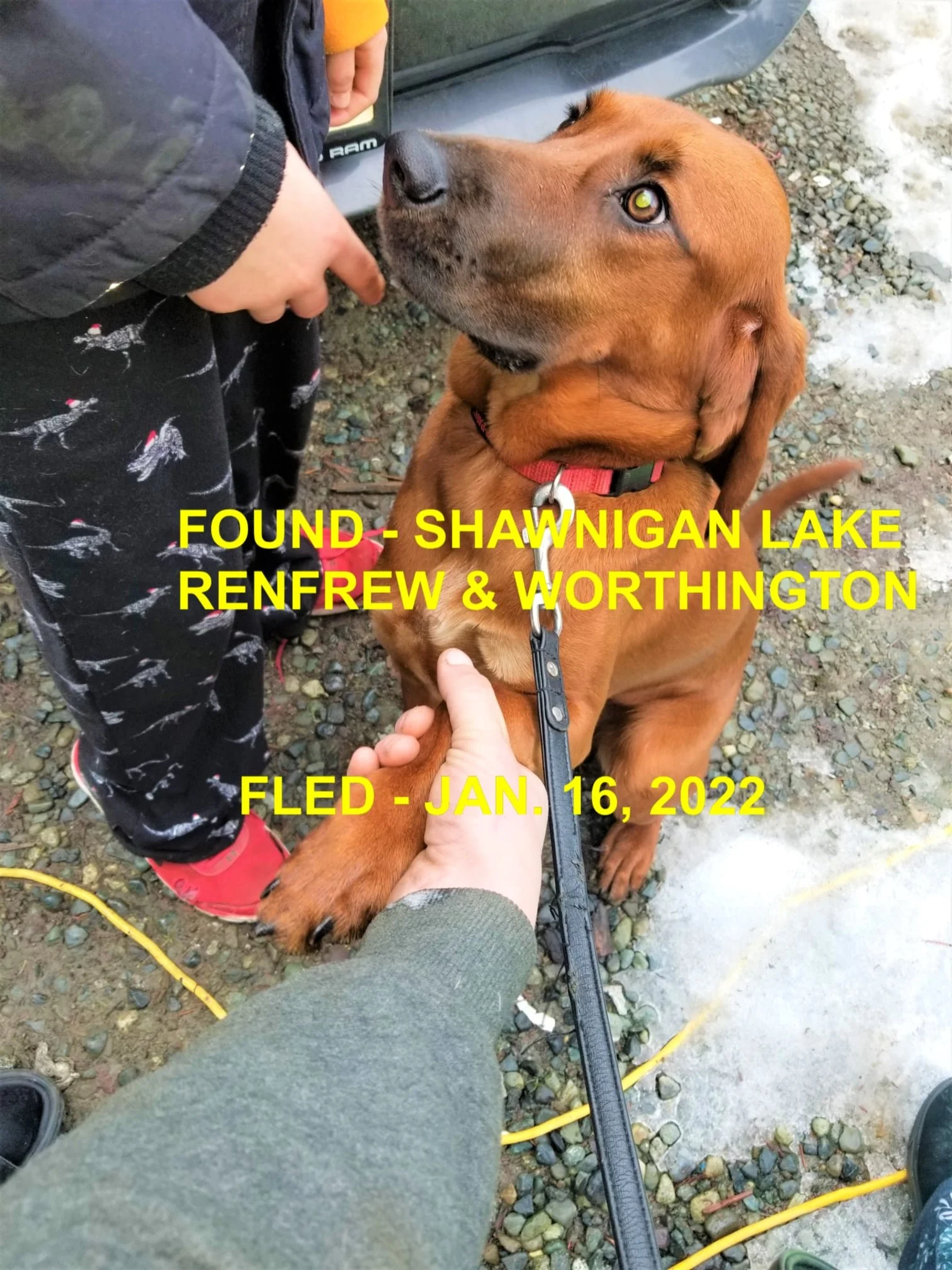 HAPPY ENDINGS - SHAWNIGAN LAKE BC. / RUBY / JAN. 16, 2022