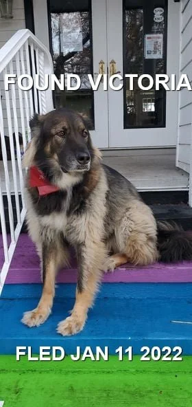 HAPPY ENDINGS - VICTORIA BC. / JAN. 11, 2022