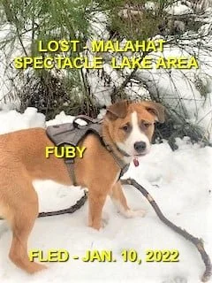 HAPPY ENDINGS - MALAHAT BC. / RUBY / JAN 10, 2022