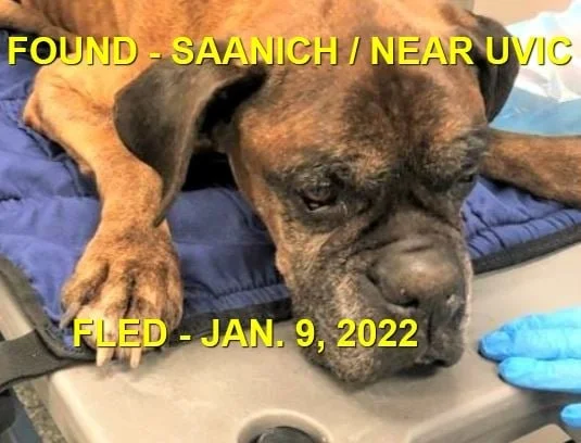 UNRESOLVED - SPCA CRUELTY CASE - SAANICH BC / JAN. 9, 2022