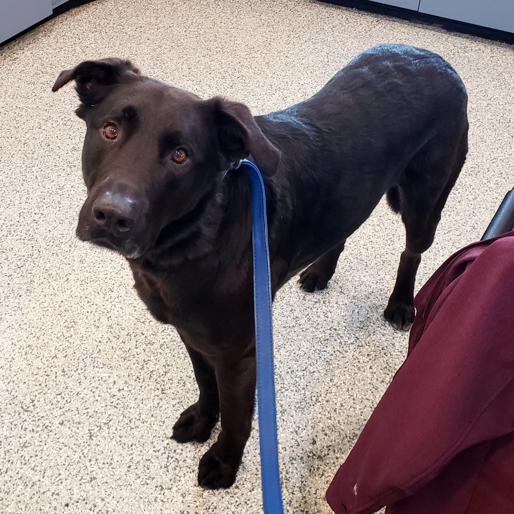 GONE TO SHELTER - DUNCAN BC. / OAKLEY / JAN 8, 2022