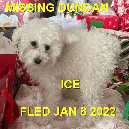 HAPPY ENDINGS - DUNCAN BC. / ICE / JAN. 7, 2022