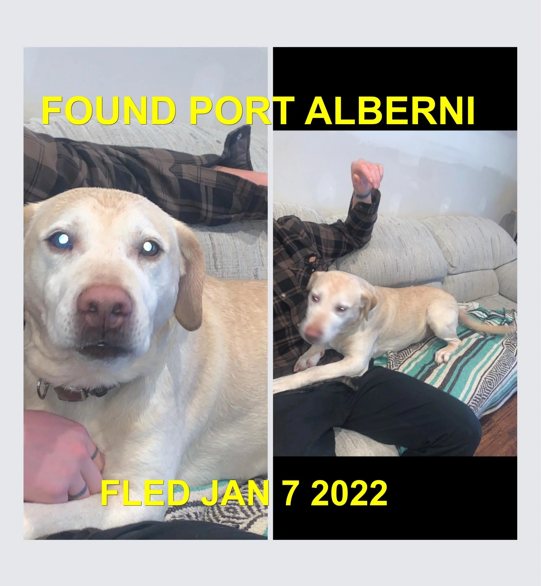 HAPPY ENDINGS - PORT ALBERNI BC. / LUCKY / JAN. 7, 2022