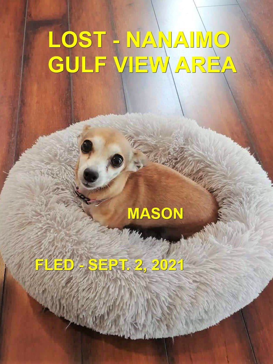 HAPPY ENDINGS - NANAIMO BC. / MASON /  SEPT. 2, 2021