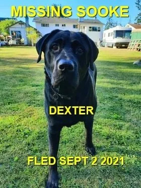 HAPPY ENDINGS - SOOKE BC. / DEXTER / SEPT. 2, 2021