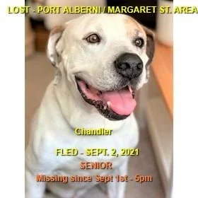 HAPPY ENDINGS - PORT ALBERNI BC. / CHANDLER / SEPT 1, 2021