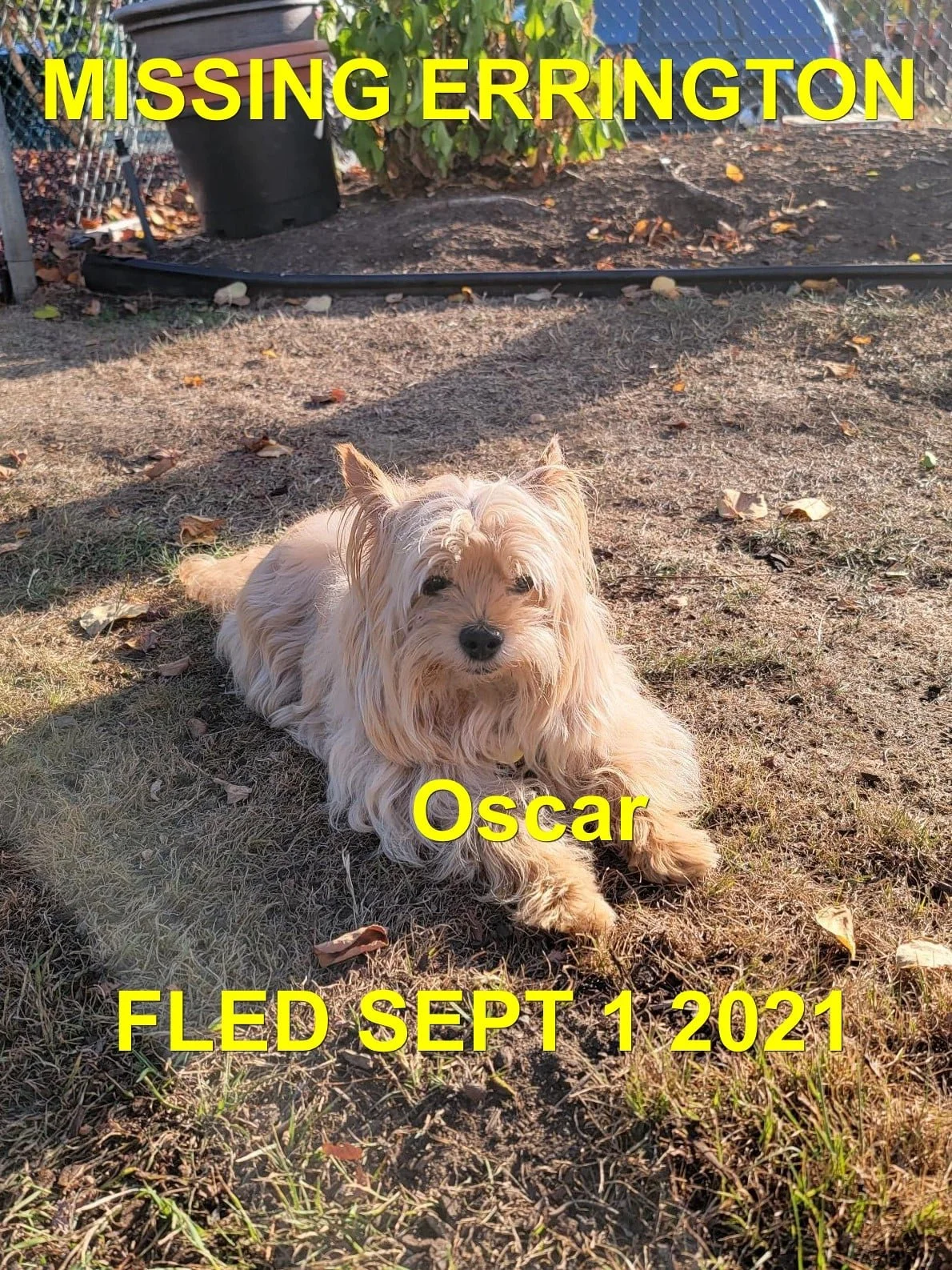 HAPPY ENDINGS - ERRINGTON BC. / OSCAR / SEPT. 1, 2021