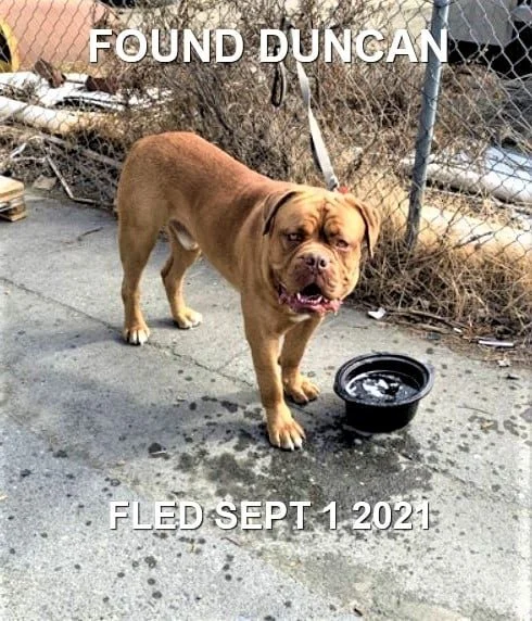 HAPPY ENDINGS - DUNCAN BC. / SEPT 1, 2021