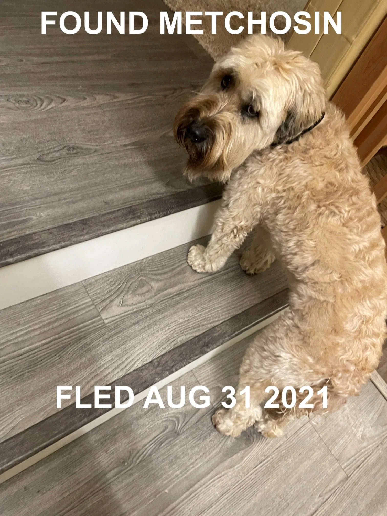 HAPPY ENDINGS - METCHOSIN BC. / LESTER / AUG. 4, 2021