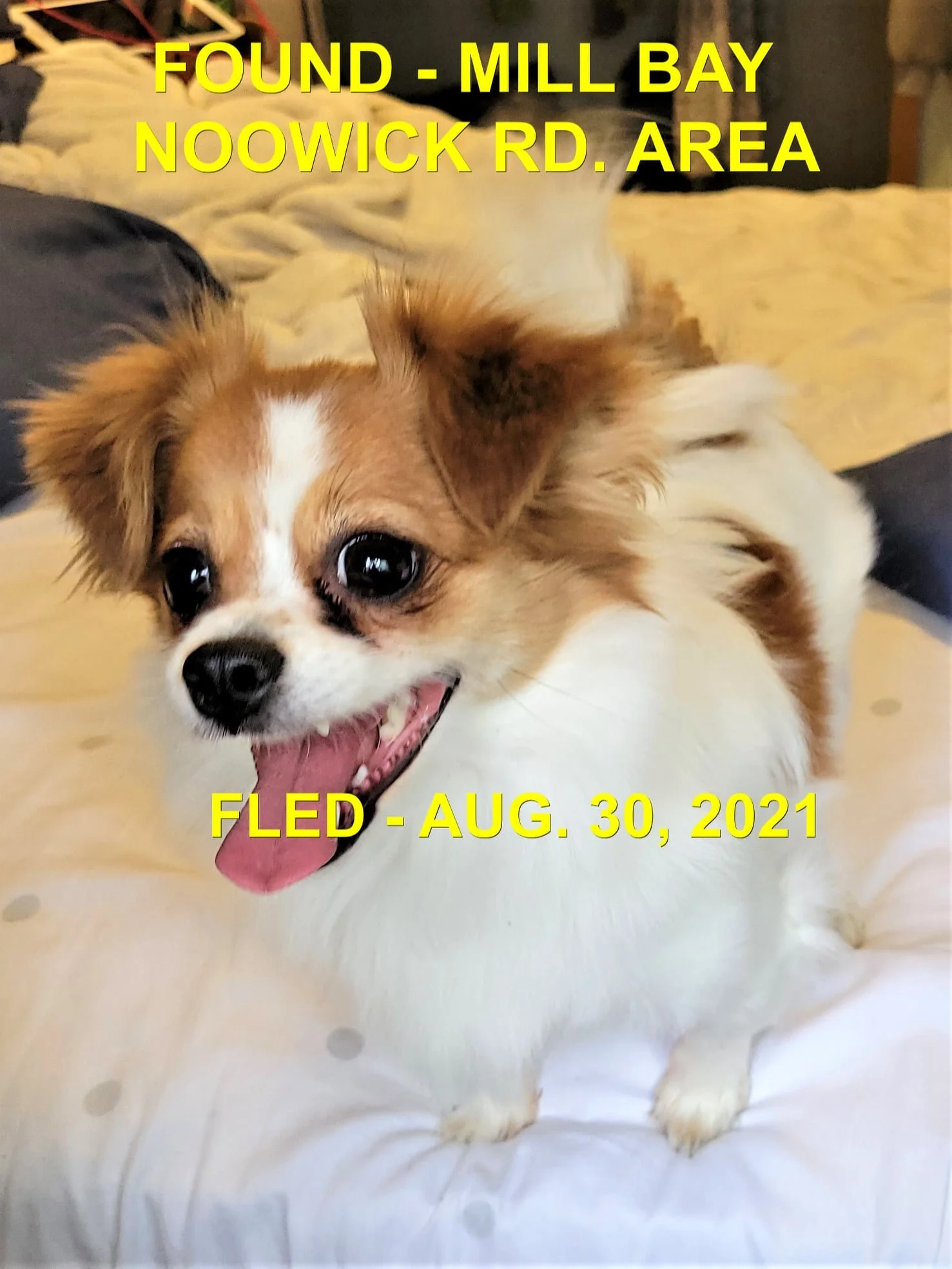 HAPPY ENDINGS - MILL BAY BC. / AUG. 30, 2021