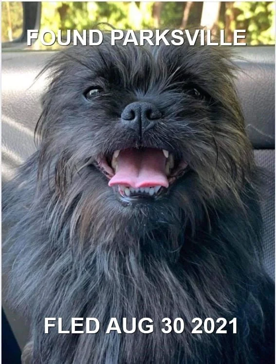 HAPPY ENDINGS - PARKSVILLE BC / AUG. 29, 2021