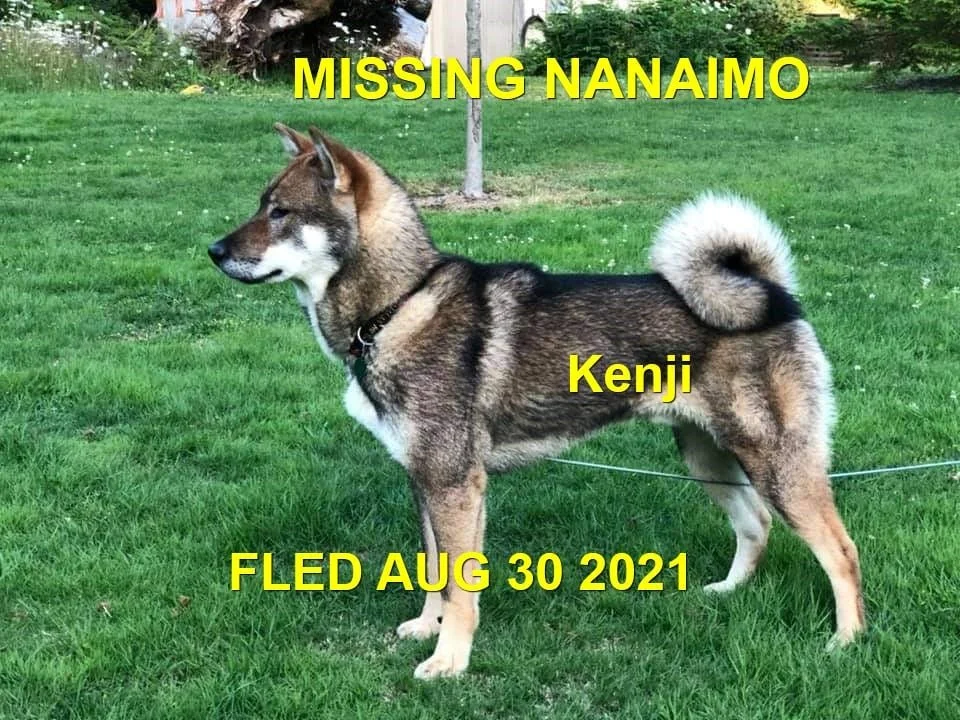 HAPPY ENDINGS - NANAIMO BC. / KENJI / AUG. 29, 2021