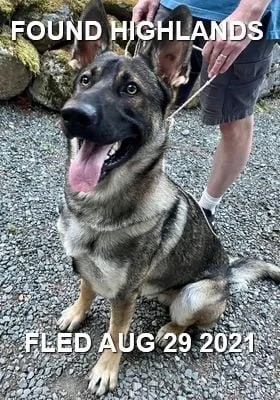 HAPPY ENDINGS - HIGHLANDS BC / GUNNAR / AUG. 29, 2021