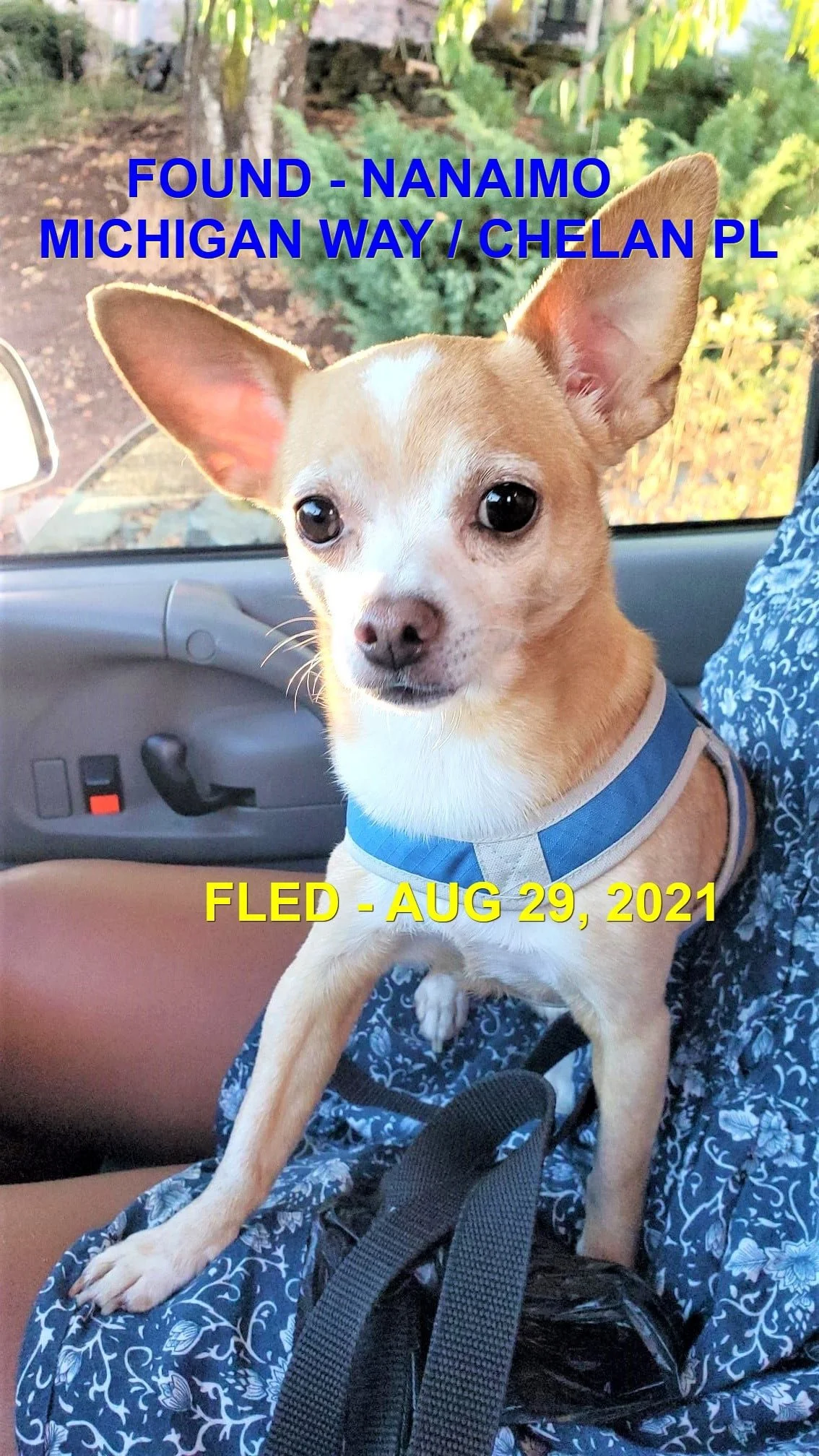 HAPPY ENDINGS - NANAIMO BC. / LUIGLI / AUG. 29, 2021