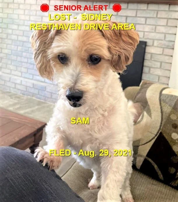 HAPPY ENDINGS - SIDNEY BC. / SAM / AUG. 29, 2021