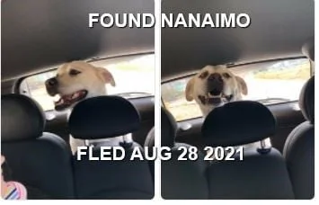 HAPPY ENDINGS - NANAIMO BC. / AUG. 28, 2021