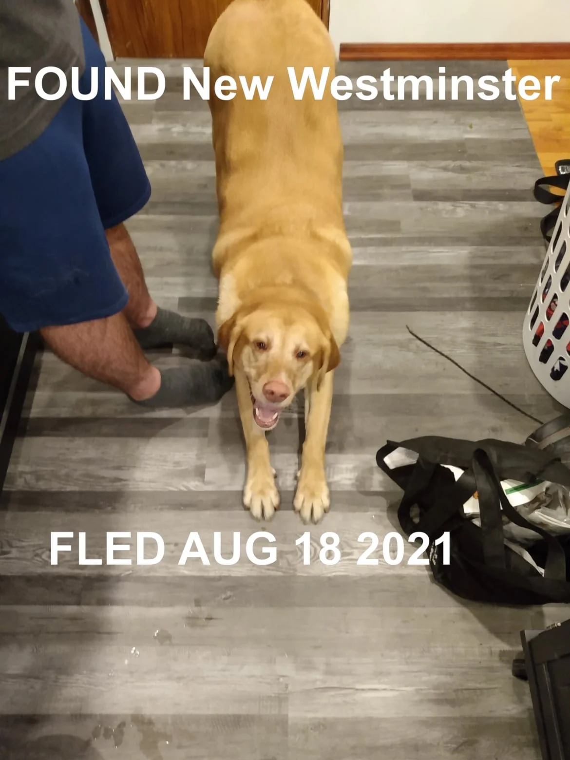 HAPPY ENDINGS - NEW WESTMINSTER BC. / JAX / AUG. 19, 2021