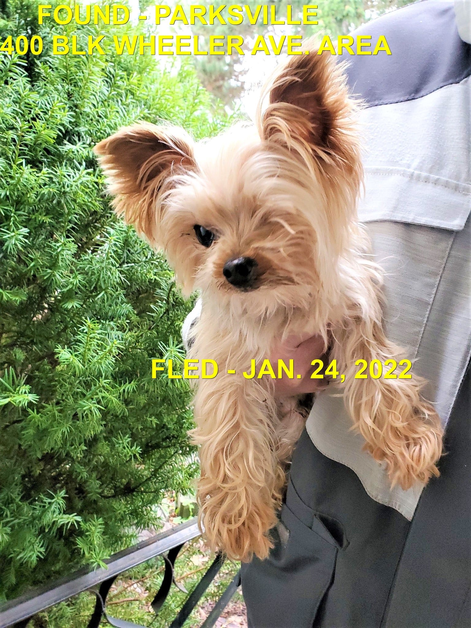 HAPPY ENDINGS - PARKSVILLE BC / JAN. 24, 2022