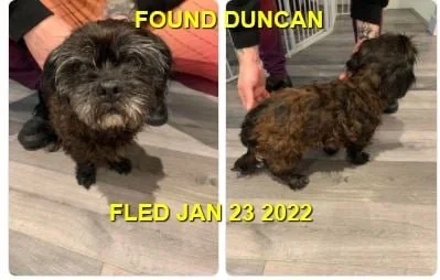 HAPPY ENDINGS - DUNCAN BC. / BELLA / JAN. 23, 2022