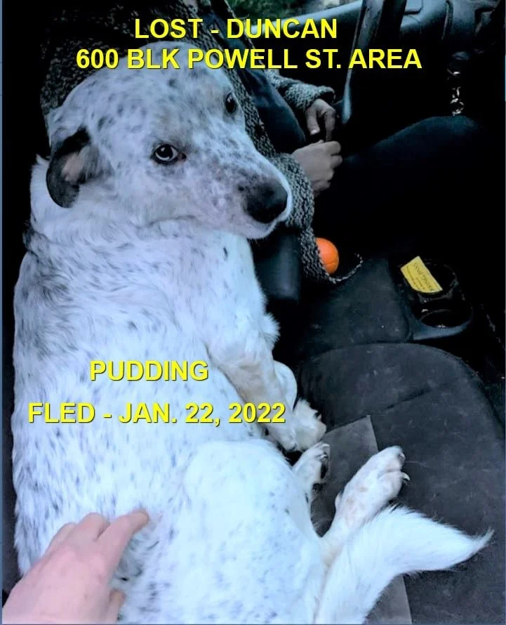 HAPPY ENDINGS - DUNCAN BC. / PUDDING / JAN. 22, 2022