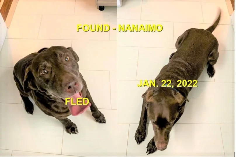 HAPPY ENDINGS - NANAIMO BC. / JAN. 22, 2022