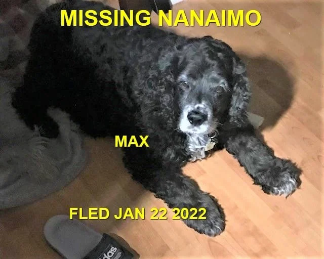 HAPPY ENDINGS - NANAIMO BC. / MAX / JAN. 22, 2022