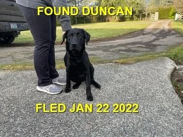 HAPPY ENDINGS - DUNCAN BC. / WANDA / JAN. 22, 2022