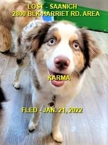 HAPPY ENDINGS - SAANICH BC. / KARMA / JAN. 21, 2022