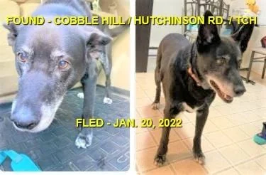 HAPPY ENDINGS - COBBLE HILL BC. / JAN 20, 2022