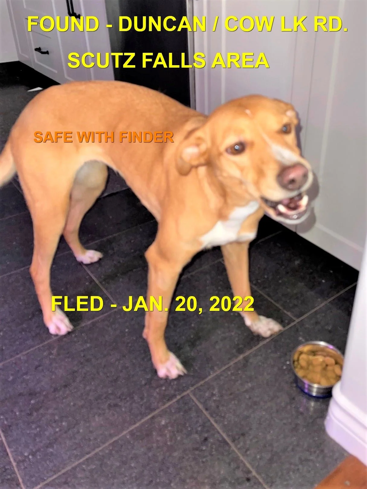 HAPPY ENDINGS - DUNCAN BC. / JAN 20, 2022