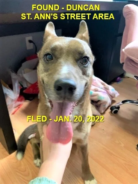 HAPPY ENDINGS - DUNCAN BC. / JAN. 20, 2022