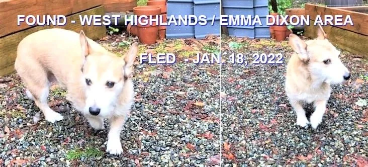 HAPPY ENDINGS - W. HIGHLANDS BC. / JAN. 18, 2022