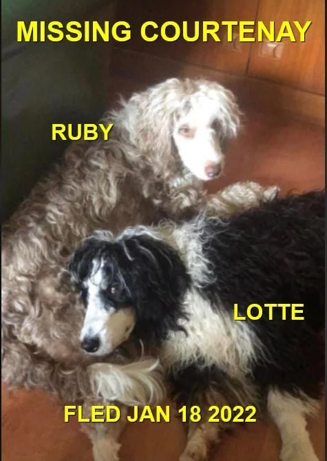 HAPPY ENDINGS - COURTENAY BC. / RUBY &amp; LOTTE / JAN. 17, 2022