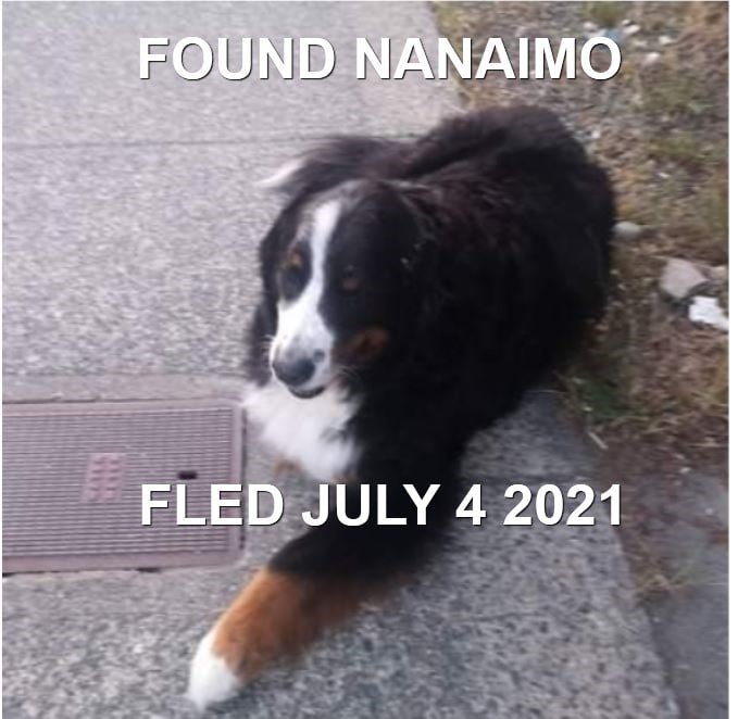HAPPY ENDINGS - NANAIMO BC. / JULY 4, 2021