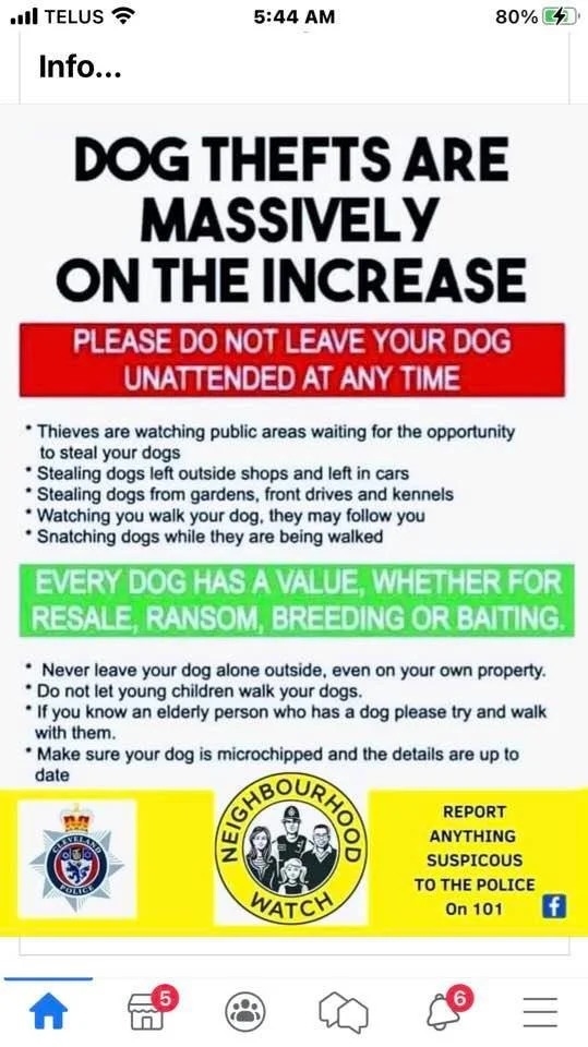 PSA - DOG THEFT