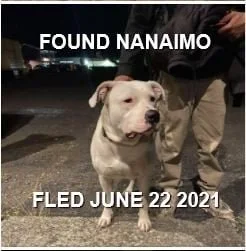 HAPPY ENDINGS - NANAIMO BC. / JUNE 22, 2021