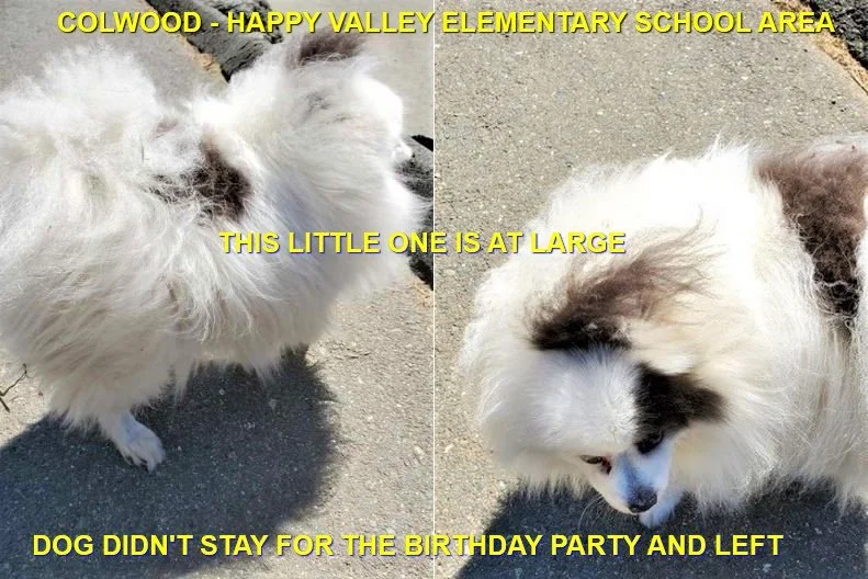 HAPPY ENDINGS - COLWOOD  BC. / JUNE 19, 2021