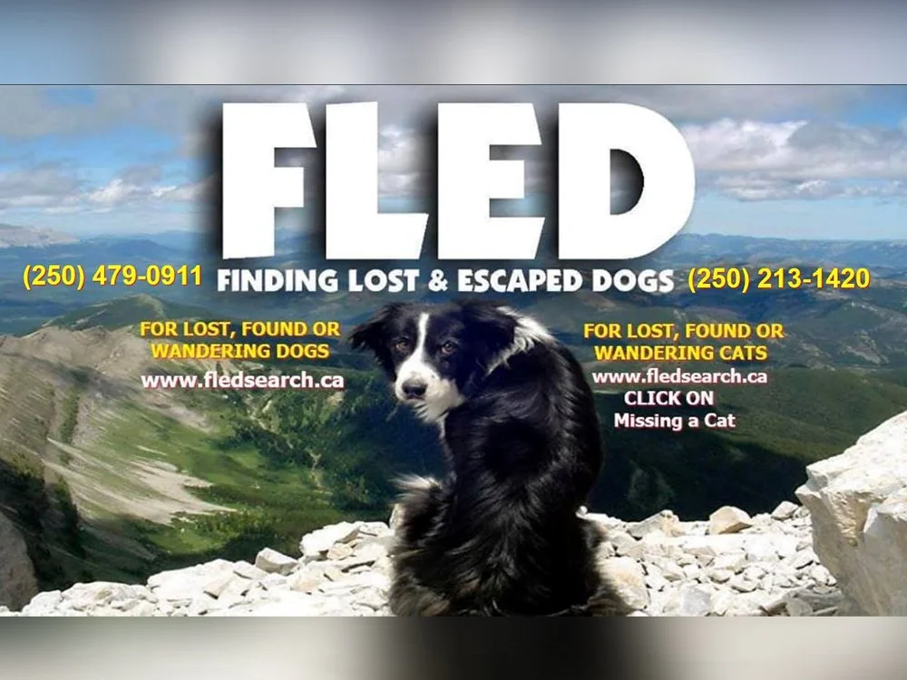 FLED helps Vancouver Island residents track down 6,000 lost pets and counting