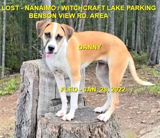 HAPPY ENDINGS - NANAIMO BC. / DANNY / JAN. 28, 2022