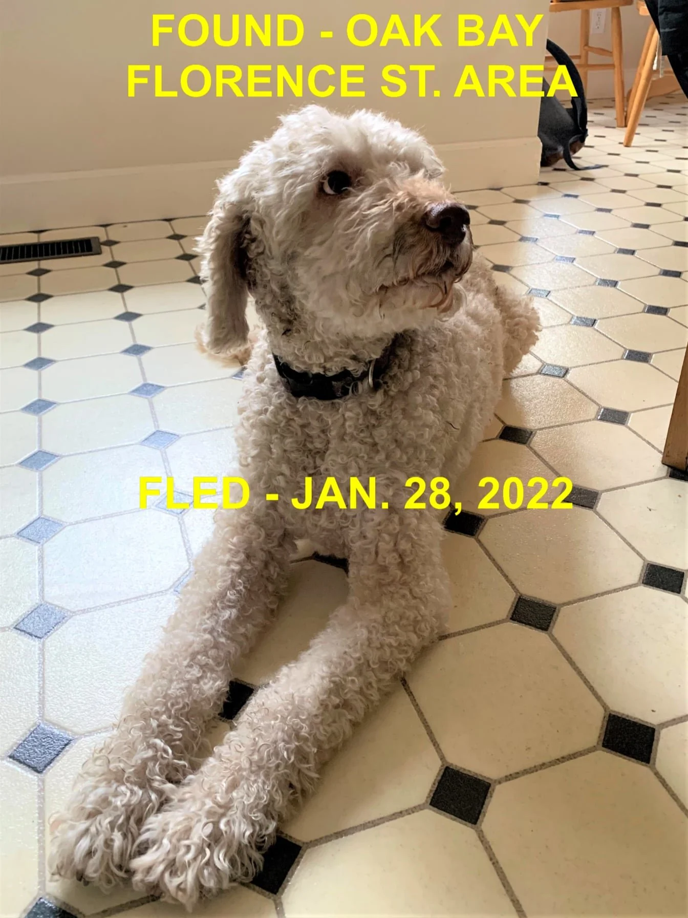 HAPPY ENDINGS - VICTORIA BC (OAK BAY) / JAN. 28, 2022