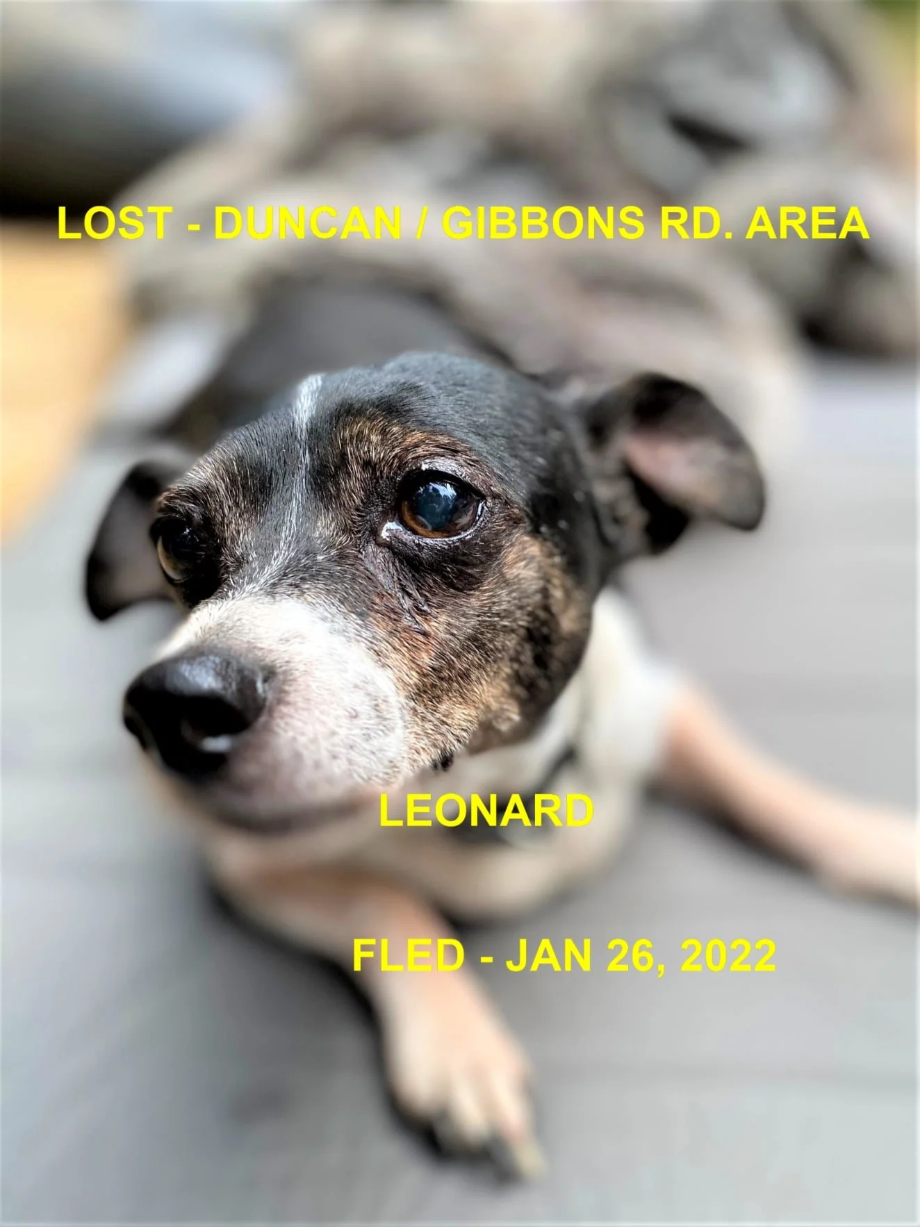 HAPPY ENDINGS - DUNCAN BC / LEONARD / JAN 26, 2022