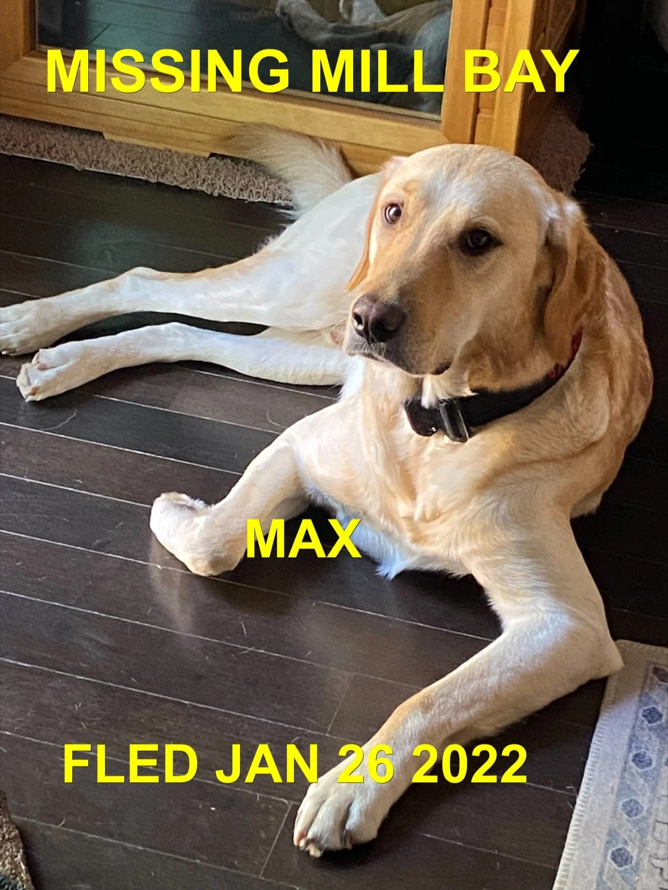 HAPPY ENDINGS - MILL BAY BC. / MAX / JAN. 26, 2022
