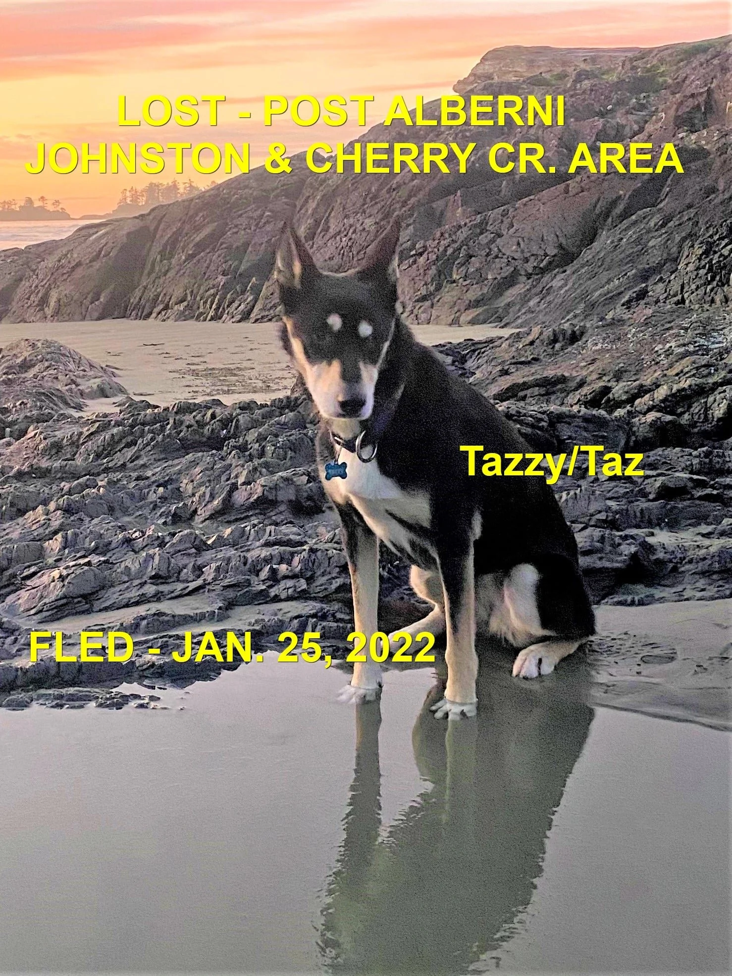 HAPPY ENDINGS - PORT ALBERNI BC. / TAZ / JAN 25, 2022