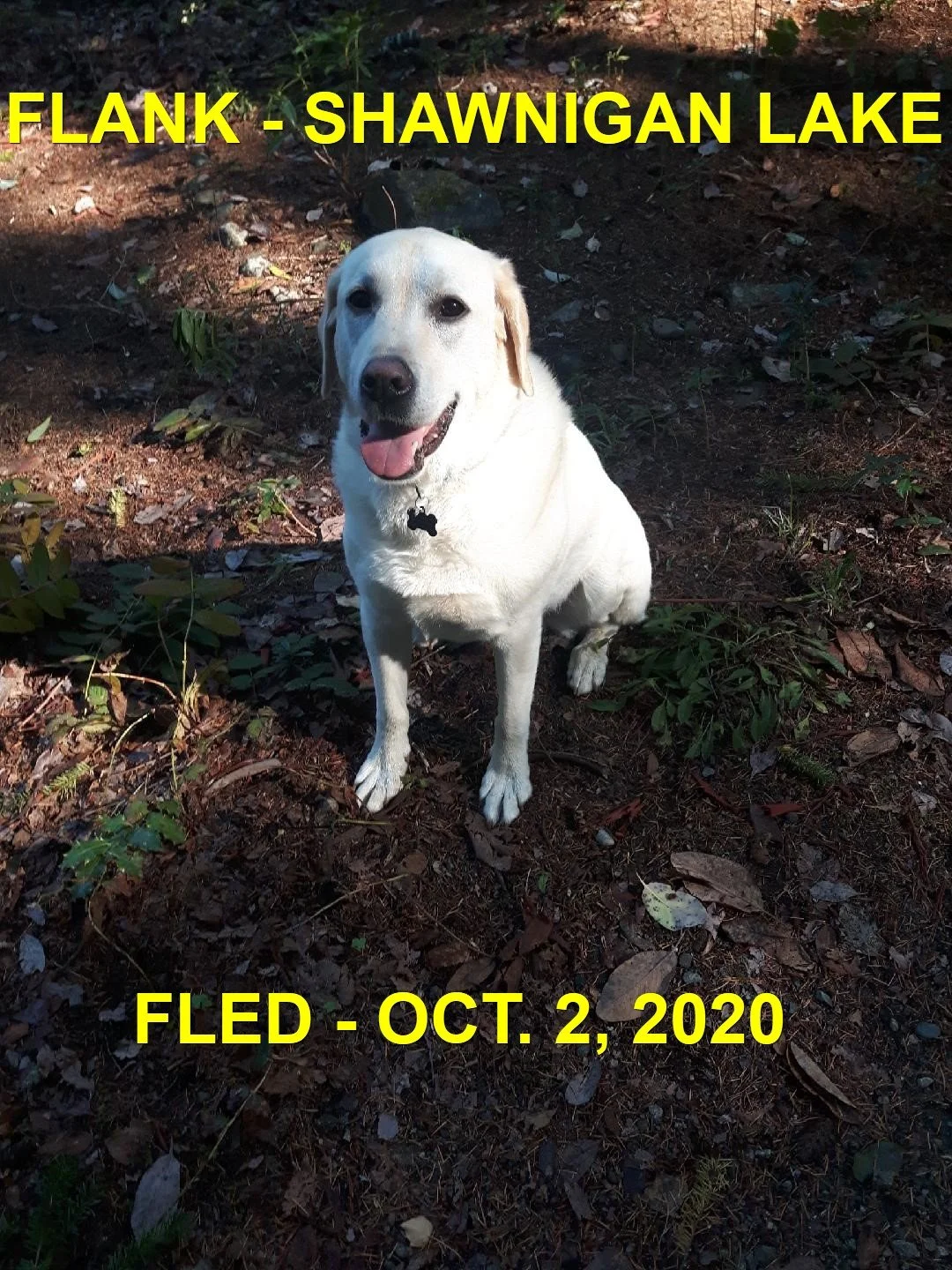 HAPPY ENDINGS - SHAWNIGAN LAKE BC. / FLANK / OCT. 2, 2020