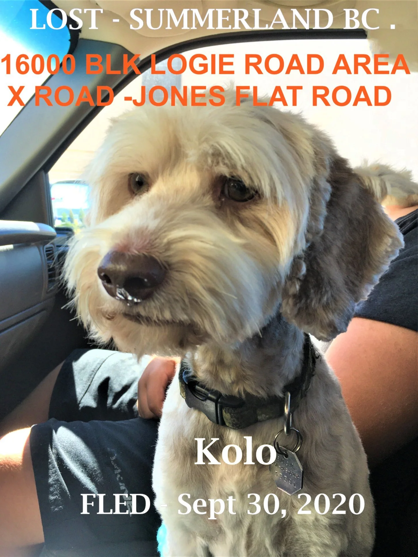 STILL MISSING  - COURTESY POST / SUMMERLAND BC. / KOLO / NOV. 13, 2020