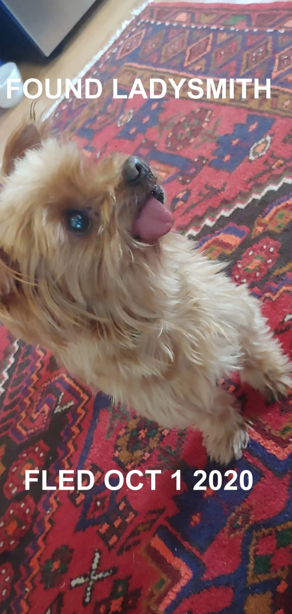 HAPPY ENDINGS - LADYSMITH BC. / OCT. 1, 2020