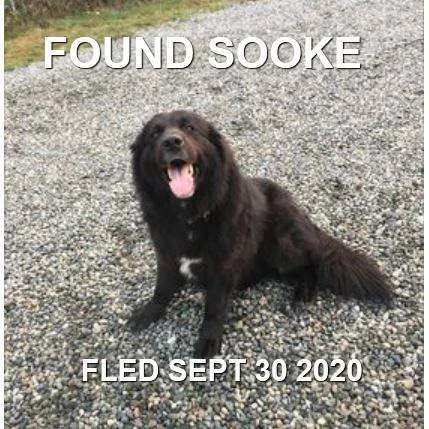 HAPPY ENDINGS - SOOKE BC / MOLLY / SEPT. 30, 2020