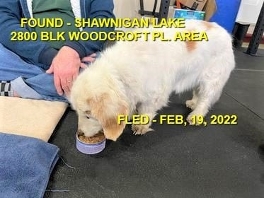 HAPPY ENDINGS - SHAWNIGAN LAKE BC / FEB. 19, 2022