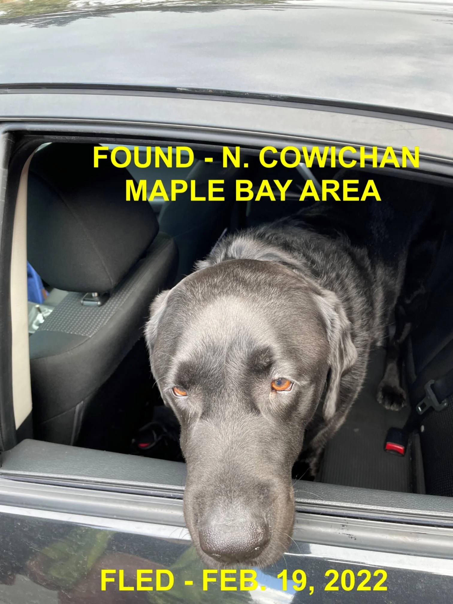 HAPPY ENDINGS - MAPLE BAY BC / FEB. 19, 2022